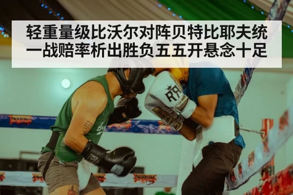 轻重量级比沃尔对阵贝特比耶夫统一战赔率析出胜负五五开悬念十足