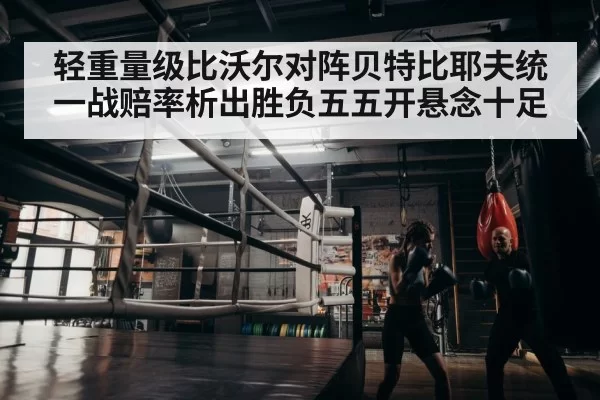boxer training